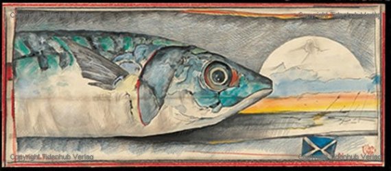Mackerel Morning